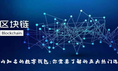 国内知名的数字钱包：你需要了解的五大热门选择