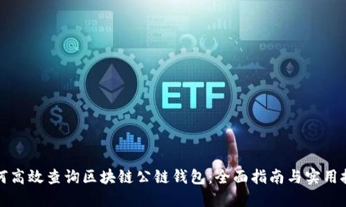 如何高效查询区块链公链钱包：全面指南与实用技巧