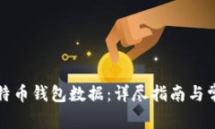 如何打开比特币钱包数据：详尽指南与常见问题