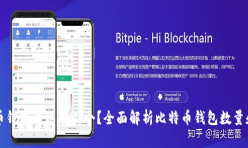 比特币钱包可以有几个？全面解析比特币钱包数量和类型