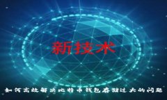 如何高效解决比特币钱包存储过大的问题