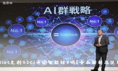 tpWallet支持BSC（币安智能链