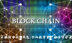 区块链中的Pi钱包：你的数字资产安全守护者