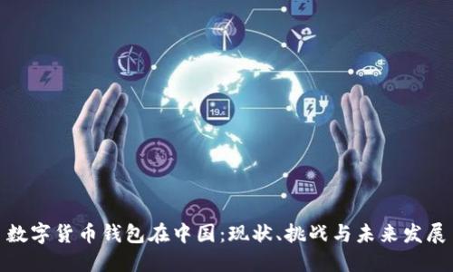 数字货币钱包在中国：现状、挑战与未来发展