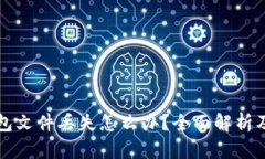 比特币钱包文件丢失怎么办？全面解析及解决方