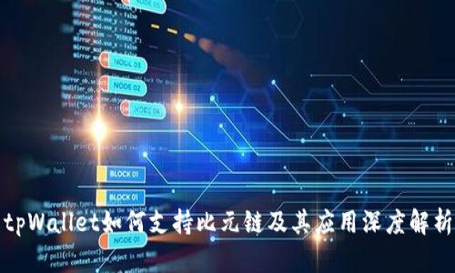 tpWallet如何支持比元链及其应用深度解析
