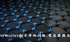 如何解决tpWallet打不开的问题：常见原因及解决方