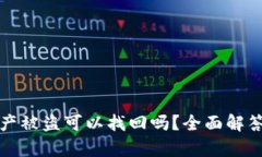 tpWallet资产被盗可以找回吗？全面解答与预防措施