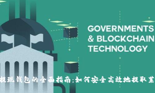 LTC提现钱包的全面指南：如何安全高效地提取莱特币