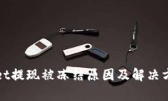 tpWallet提现被冻结原因及解决方法详解