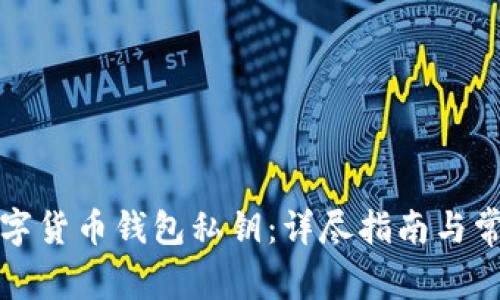 如何找回数字货币钱包私钥：详尽指南与常见问题解析