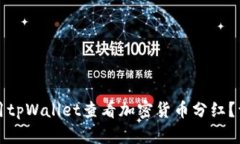 如何使用tpWallet查看加密货