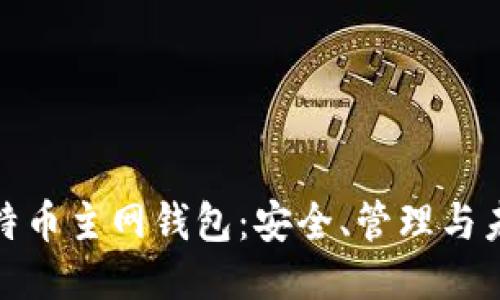 探索比特币主网钱包：安全、管理与未来趋势