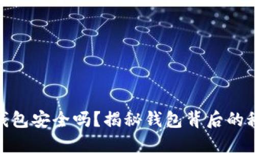 数字货币钱包安全吗？揭秘钱包背后的秘密与风暴