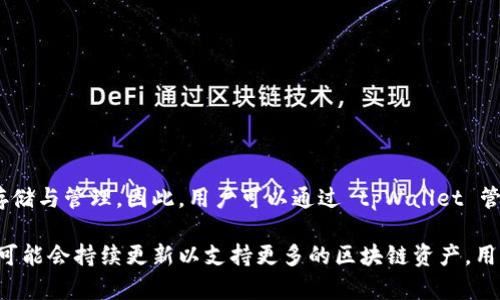 tpWallet 并没有特定的分链名称。它主要是一款多链钱包，支持多种区块链资产的存储与管理。因此，用户可以通过 tpWallet 管理不同链上的数字货币，而不是特定于某一条链的名称。

对于用户来说，这种多链支持的设计使得资产管理更加灵活和方便。此外，tpWallet 可能会持续更新以支持更多的区块链资产，用户可以关注他们的官方信息获取最新动态。如果你还有其他具体问题，欢迎随时问我！