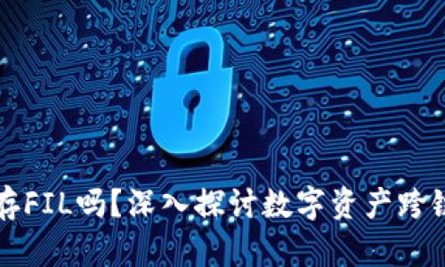 以太坊钱包能存FIL吗？深入探讨数字资产跨链存储的可能性