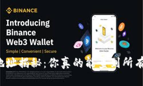 区块链钱包地址揭秘：你真的能查到所有交易记录吗？