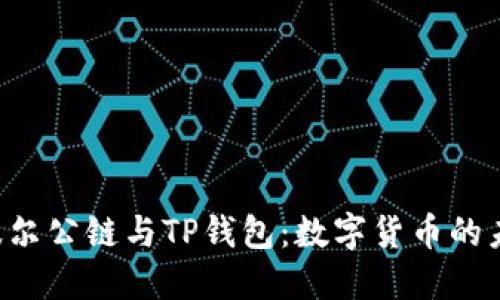 探索Bohr波尔公链与TP钱包：数字货币的未来是什么？
