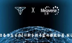 比特币钱包没备份怎么办？从新手到专家的拯救