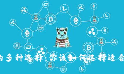 区块链钱包的多种选择：你该如何选择适合自己的钱包？