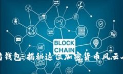 孙宇晨的以太坊钱包：揭秘这位加密货币风云人