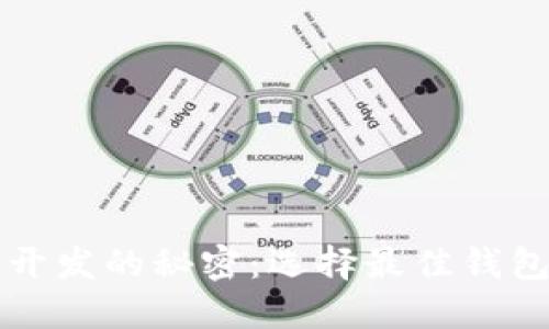 揭开区块链钱包开发的秘密：选择最佳钱包开发服务的指南