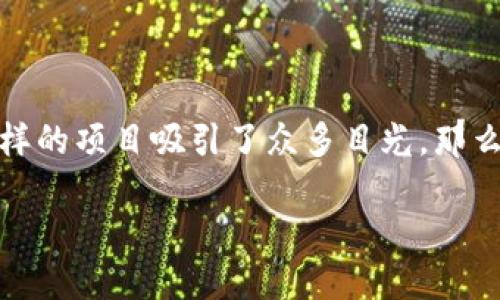 在这个数字货币日益普及的时代，挖矿成为了许多人收入的一部分，特别是在新兴的加密货币中，像LEO（Leo Token）这样的项目吸引了众多目光。那么，在两台电脑同时挖LEO钱包挖矿时，我们需要考虑哪些因素呢？本文将通过详细的分析和讨论，带您深入了解这一过程。

两台电脑同时挖LEO钱包挖矿的技巧与心得