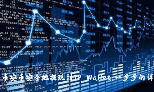 如何将币安币安全地提现到TP Wallet：一步步的详细指南