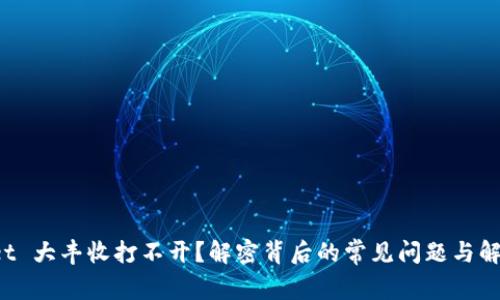 tpWallet 大丰收打不开？解密背后的常见问题与解决方案！