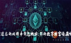 被遗忘的比特币钱包地址：你的数字财富还在吗