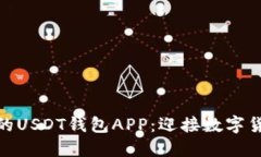 如何开发一款便捷安全的USDT钱包APP：迎接数字货