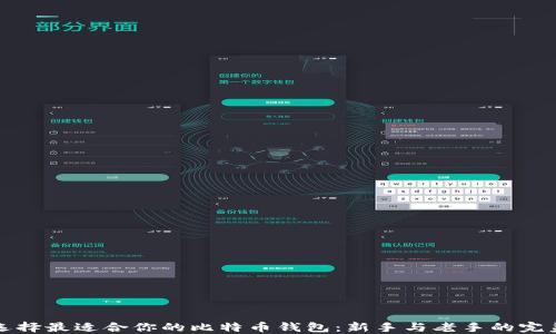 
如何选择最适合你的比特币钱包：新手与老手的完美指南