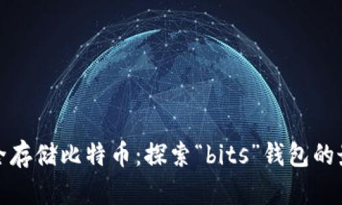 如何安全存储比特币：探索“bits”钱包的最佳选择