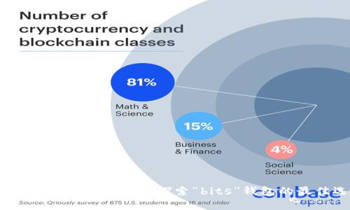 如何安全存储比特币：探索“bits”钱包的最佳选择