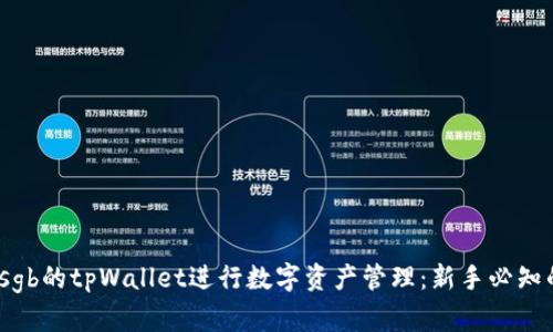 如何使用sgb的tpWallet进行数字资产管理：新手必知的5个功能