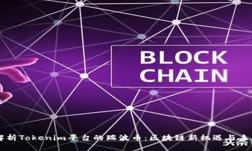 深入解析Tokenim平台的瑞波币：区块链新机遇与未来潜力