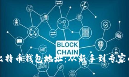 如何查看比特币钱包地址：从新手到专家的完整指南