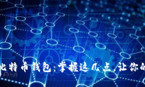 如何高效导入比特币钱包：掌握这几点，让你的资产安全无忧