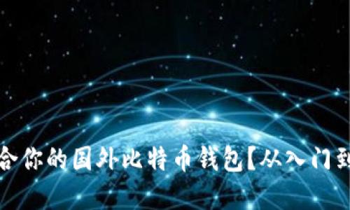 如何选择适合你的国外比特币钱包？从入门到精通全攻略