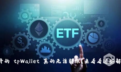 难道新开的 tpWallet 真的无法转账？来看看这些解决方案！