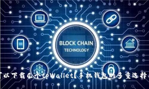 一个手机可以下载几个tpWallet？手机钱包的多重选择与便捷体验