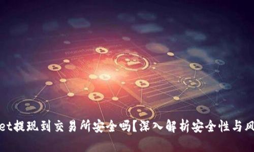 tpWallet提现到交易所安全吗？深入解析安全性与风险管理