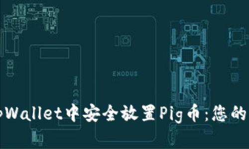 如何在tpWallet中安全放置Pig币：您的终极指南