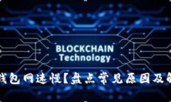 狗狗币钱包网速慢？盘点常见原因及解决方案