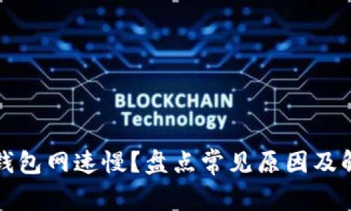 狗狗币钱包网速慢？盘点常见原因及解决方案