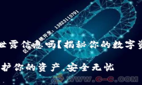 tpWallet会泄露信息吗？揭秘你的数字资产安全之道

tpWallet：保护你的资产，安全无忧