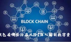 USDT钱包有哪些潜在风险？深入解析数字资产安全