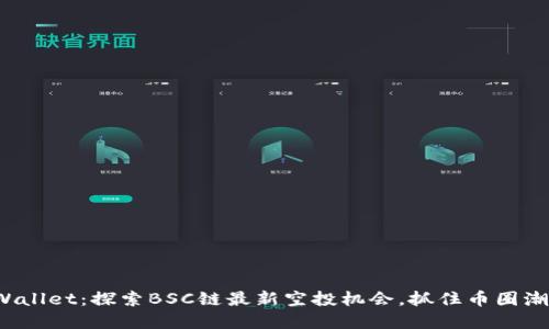 tpWallet：探索BSC链最新空投机会，抓住币圈潮流！