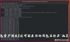 TP钱包资产消失？这可能是