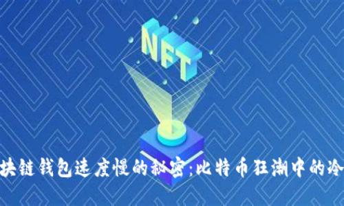 破解区块链钱包速度慢的秘密：比特币狂潮中的冷静思考